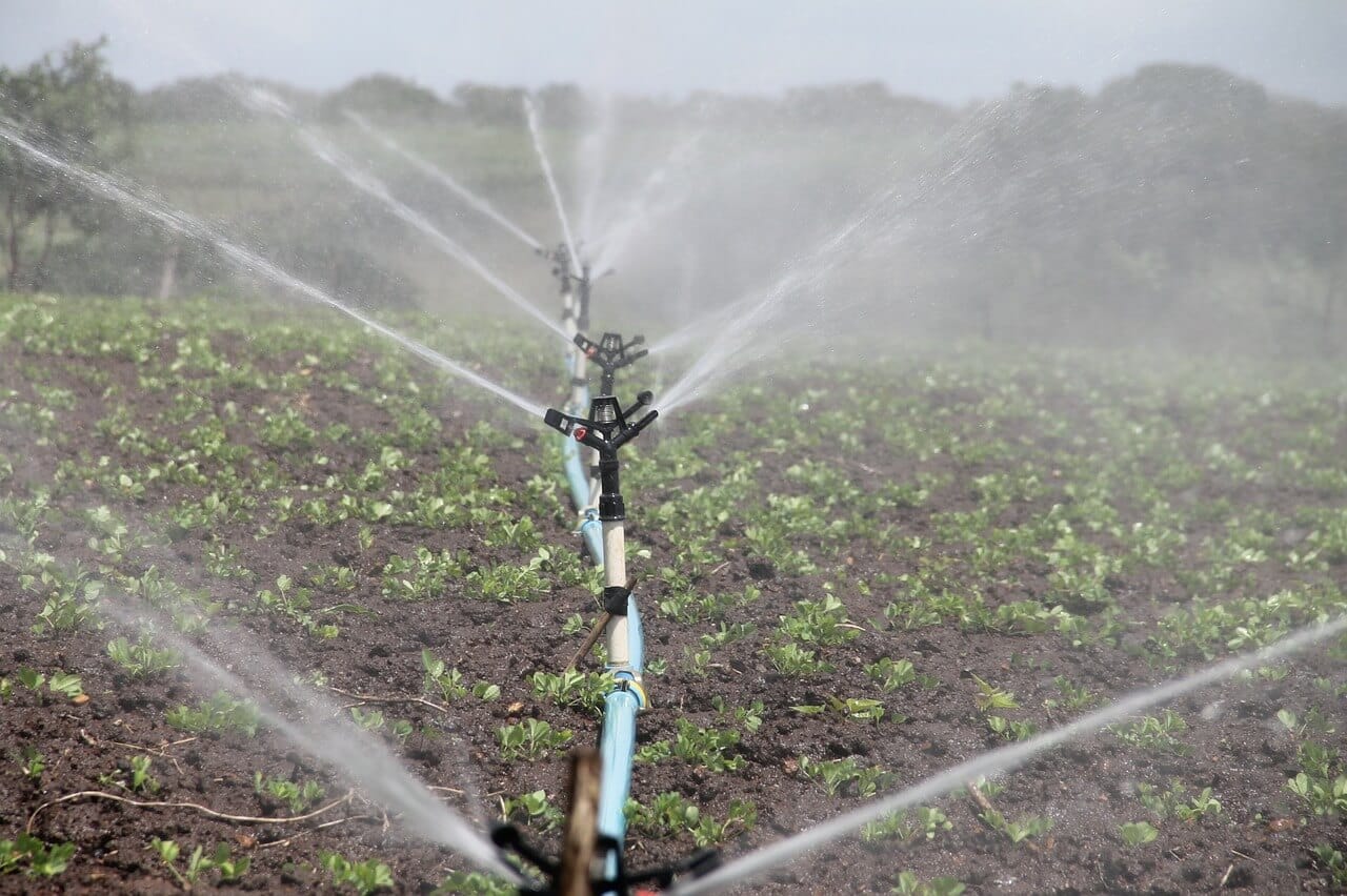 What Are Types Of Irrigation
