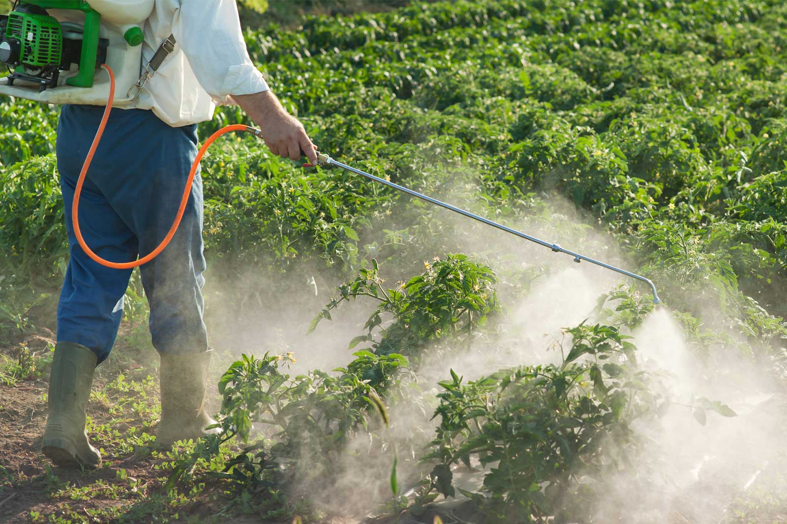 What Do Pesticides Kill