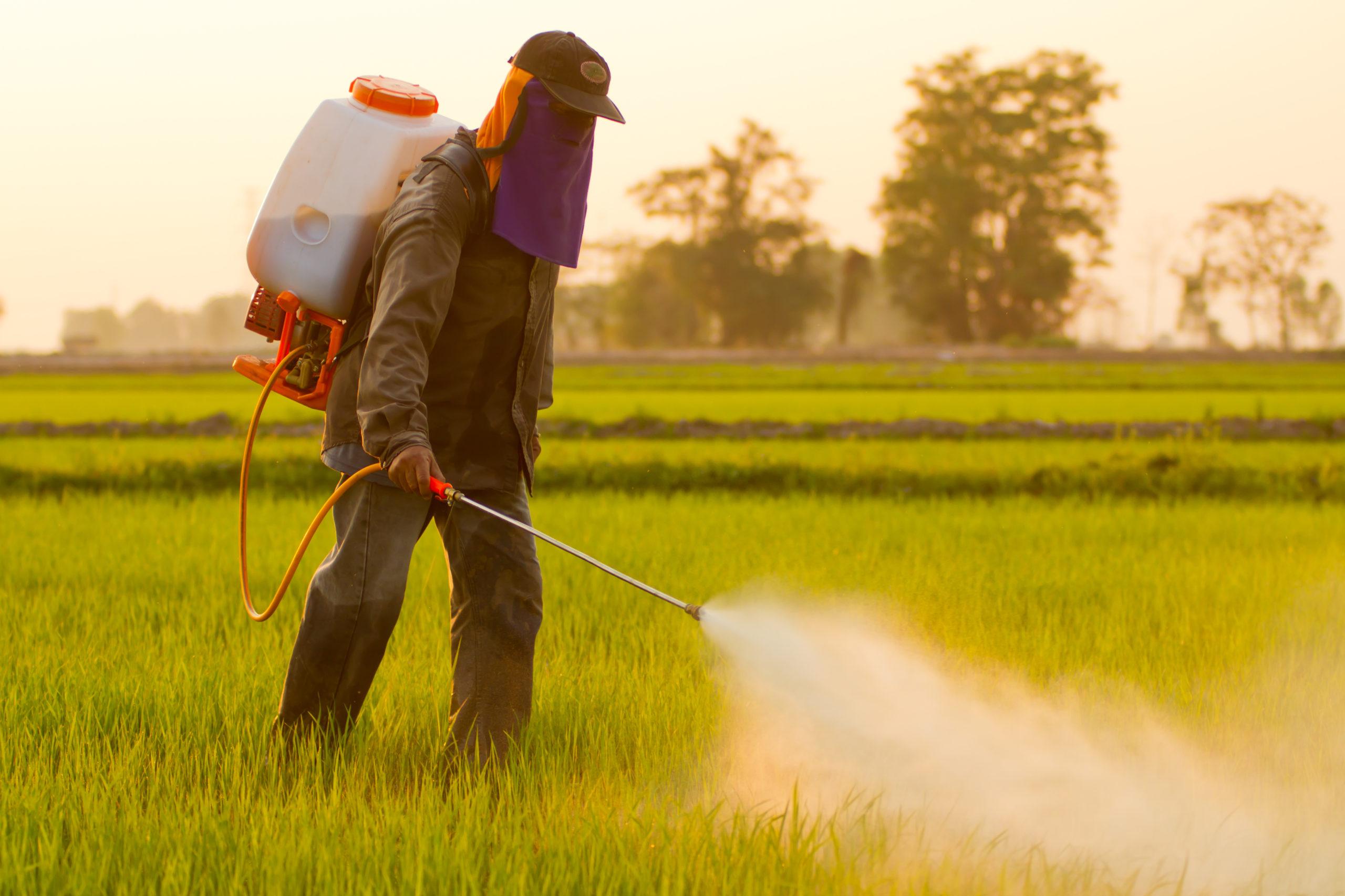 What Happens If You Inhale Pesticides