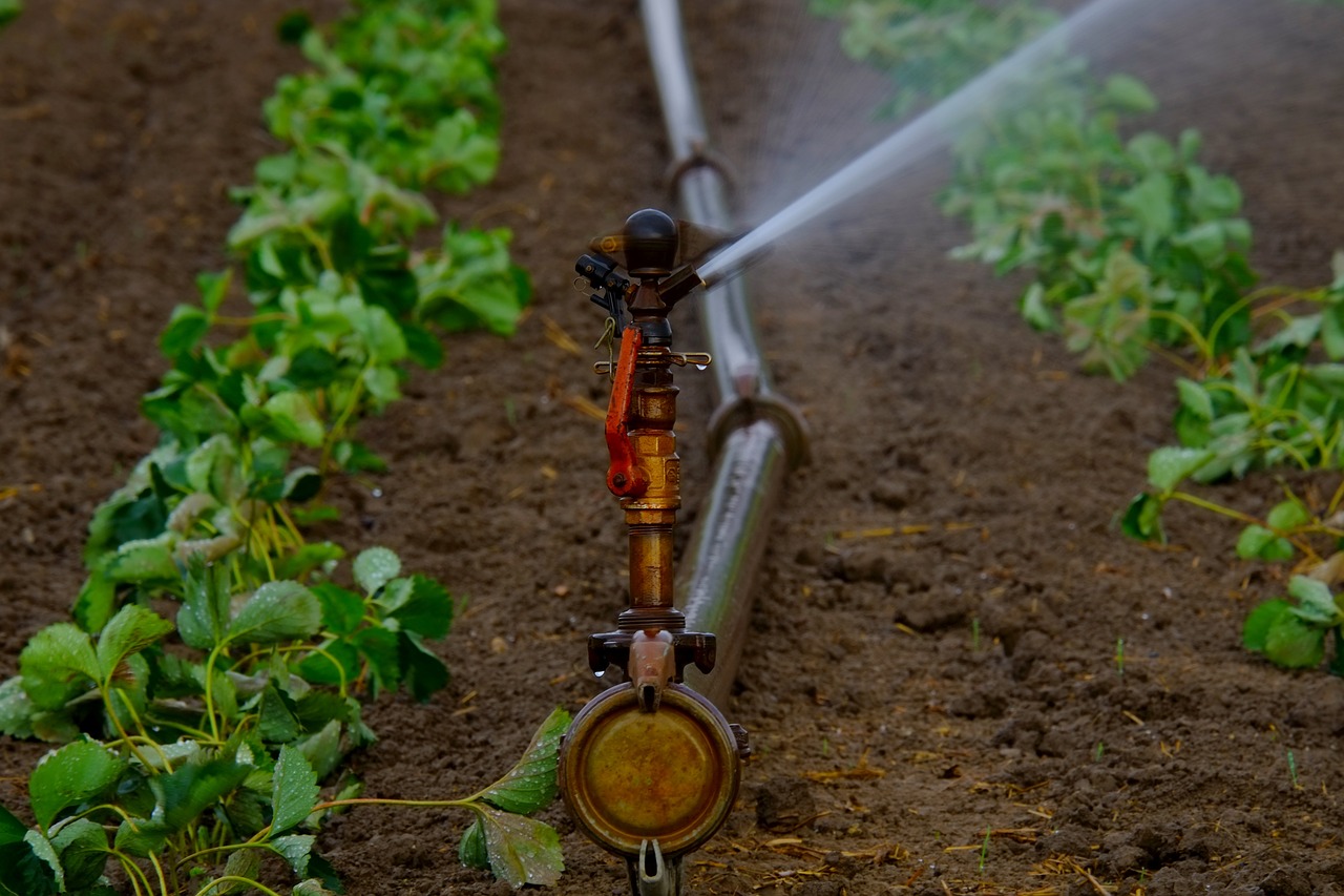 What Is An Irrigation System?