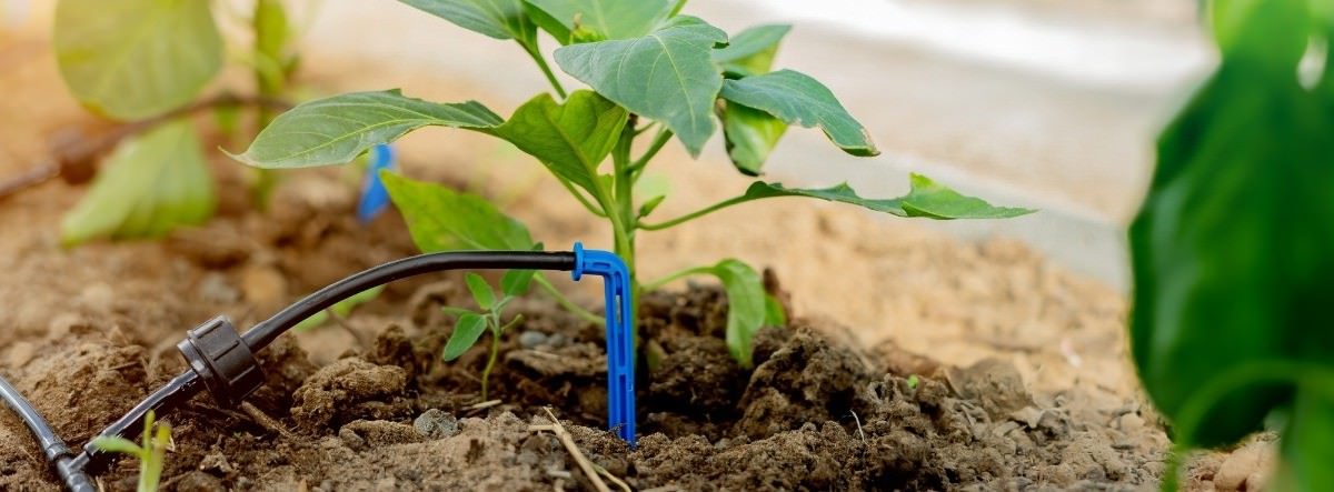 What Is Drip Irrigation Used For