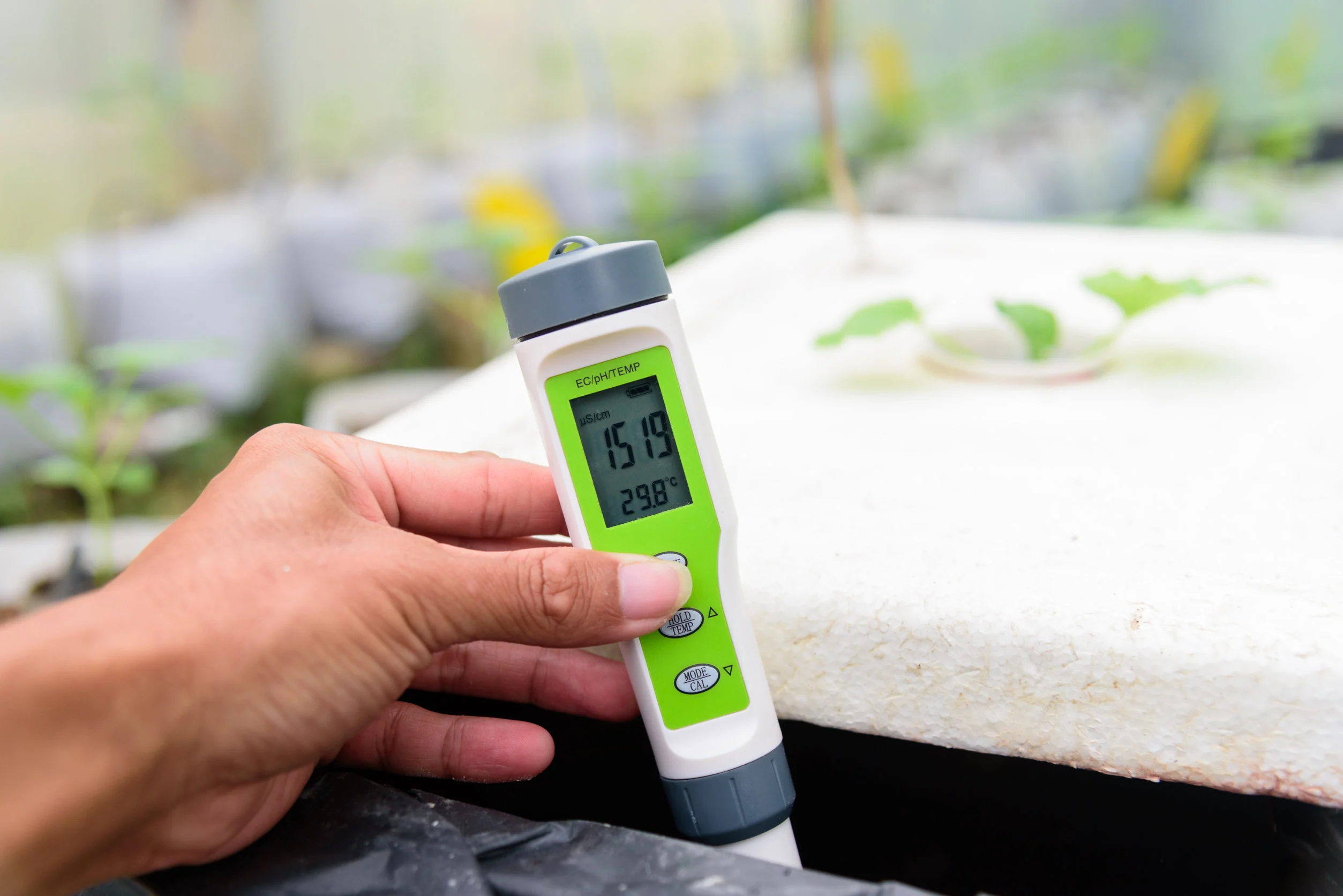 What Is EC In Hydroponics And Why It’s Important