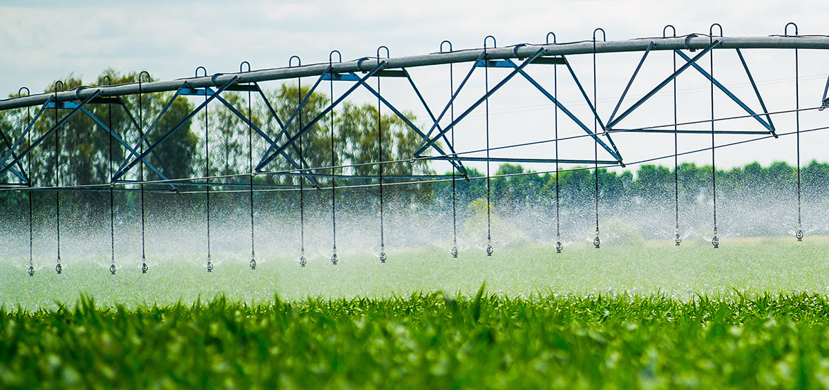 What Is Irrigation In Agriculture