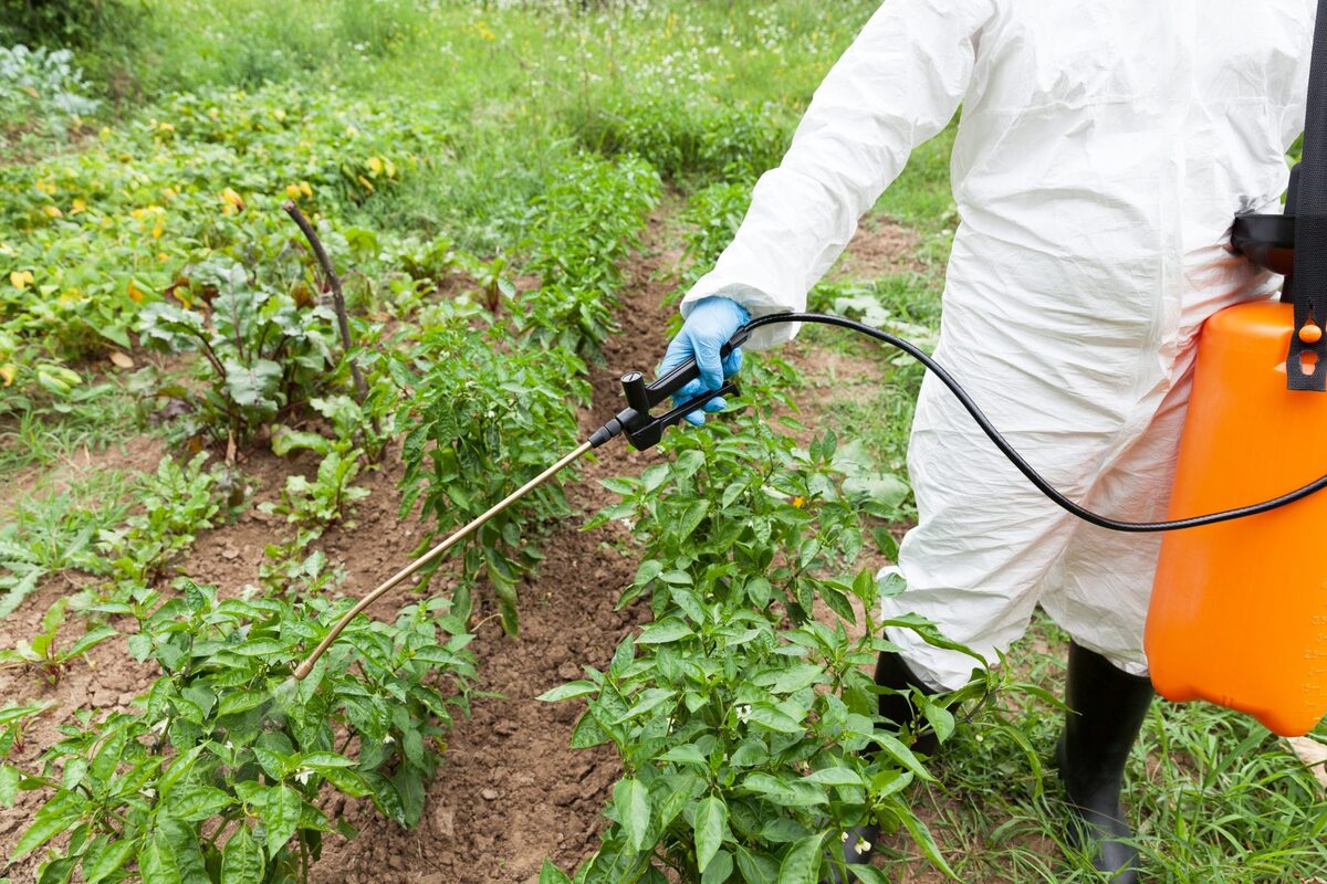 What Is Synthetic Pesticides