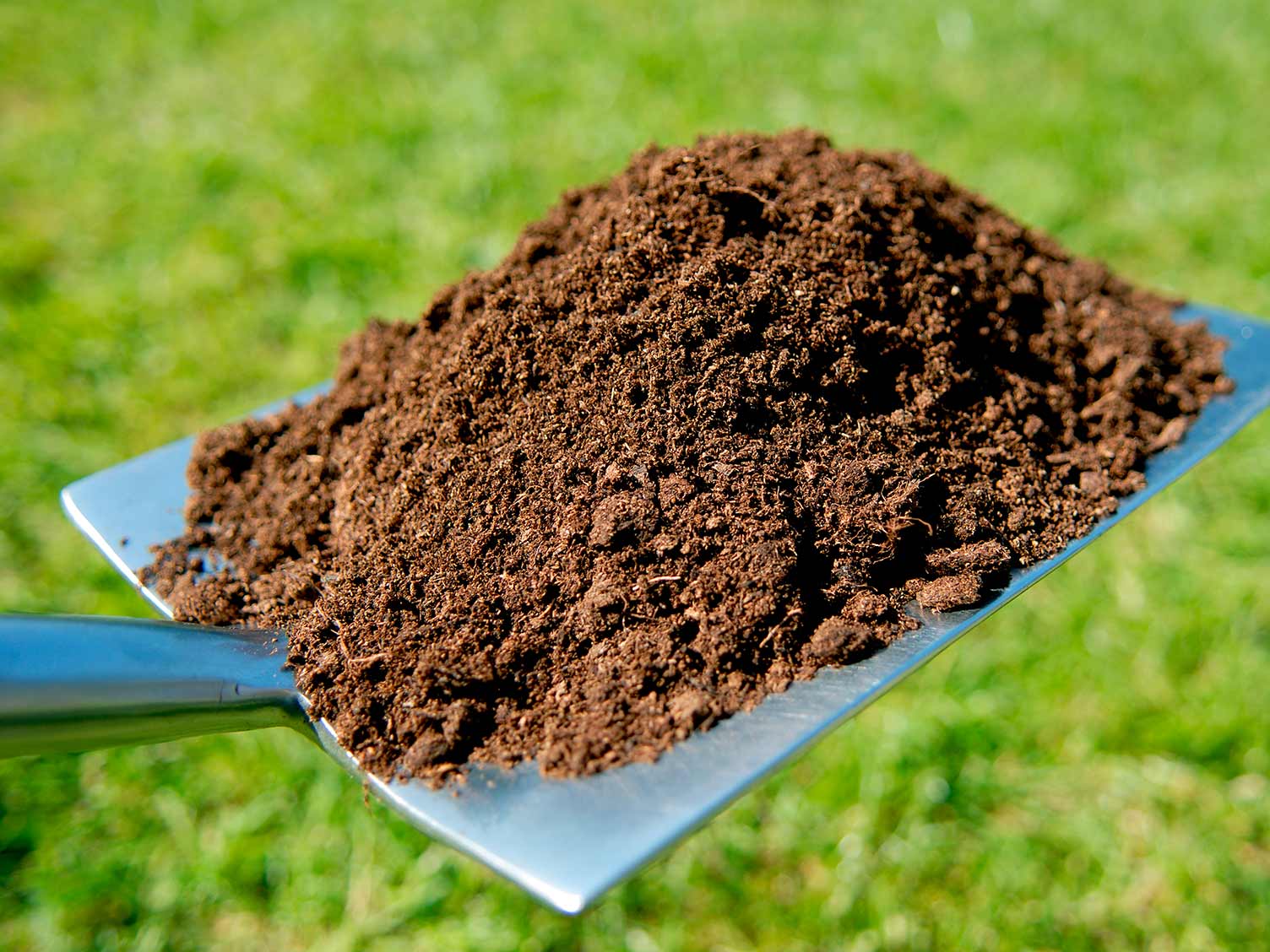 What Is The Best Topsoil For A Lawn