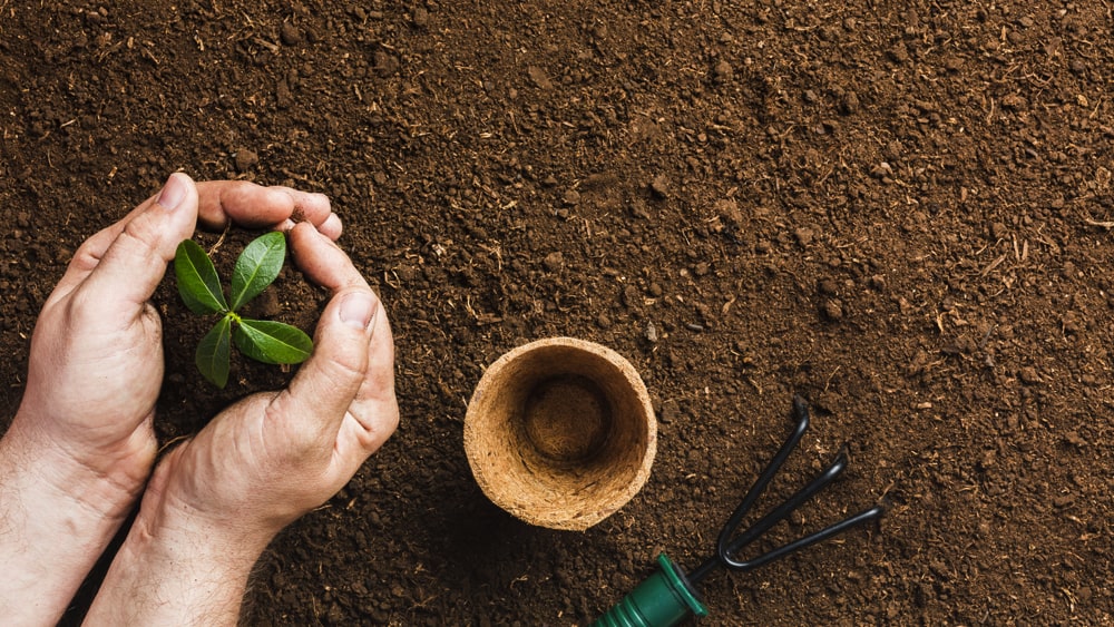 What Is The Difference Between Topsoil And Potting Soil
