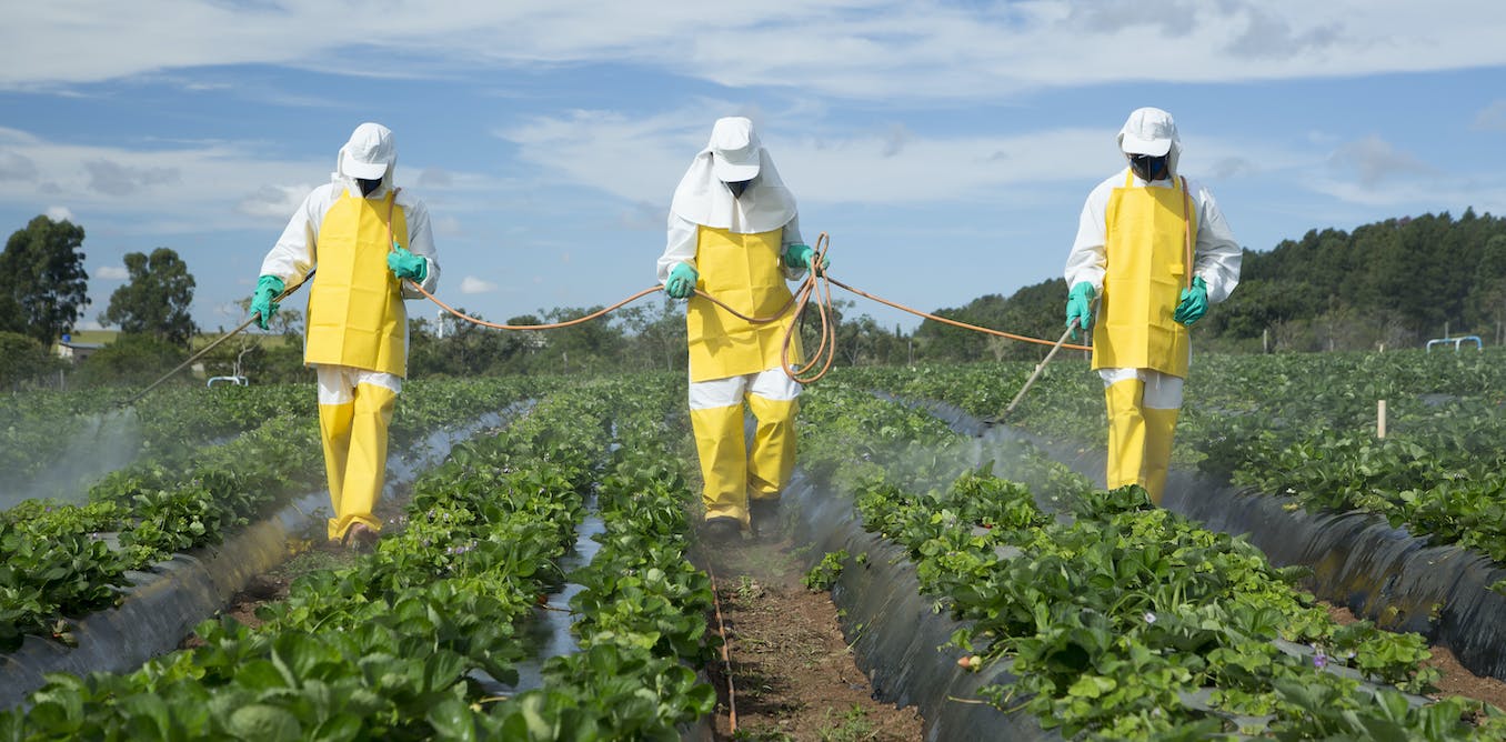 What Is The Original Intention Of Pesticides And Chemicals We Use On American Farms Today?
