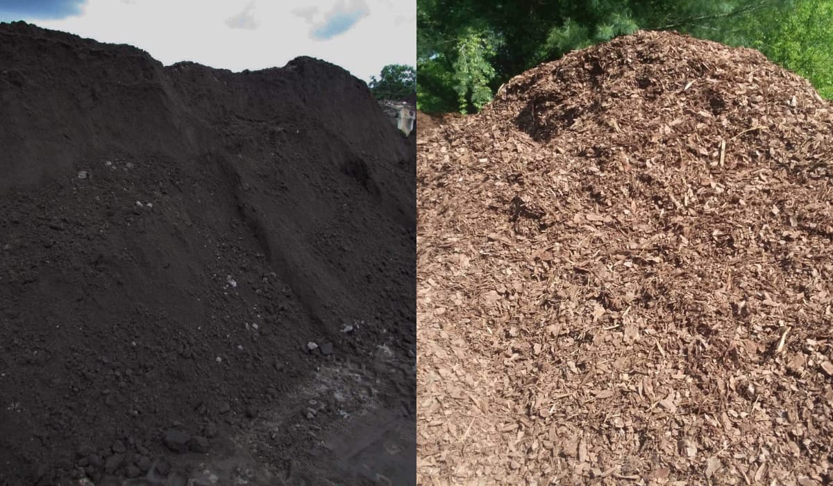What Is Topsoil Vs Compost