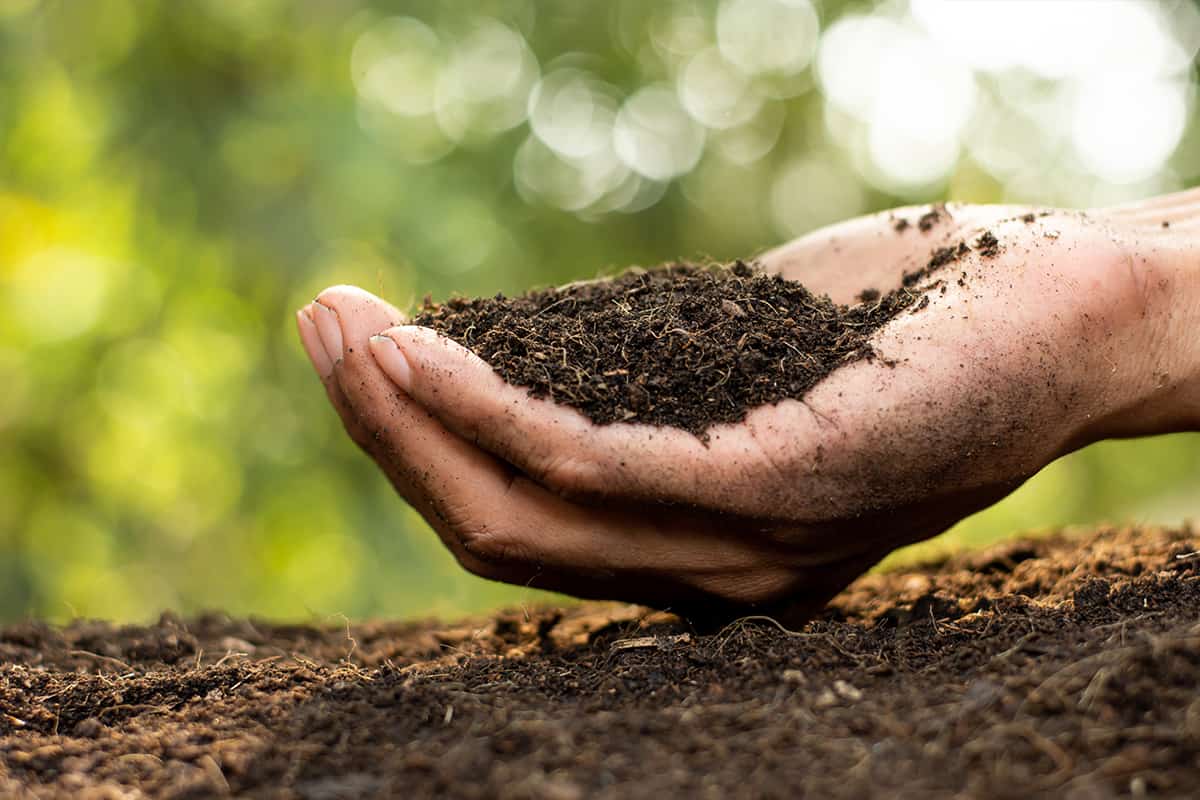 What Makes Up Loam Or Topsoil?