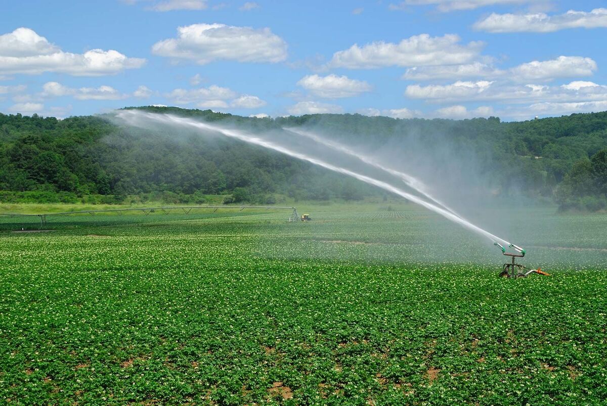 What Percentage Of Freshwater Use Goes To Agricultural Irrigation?
