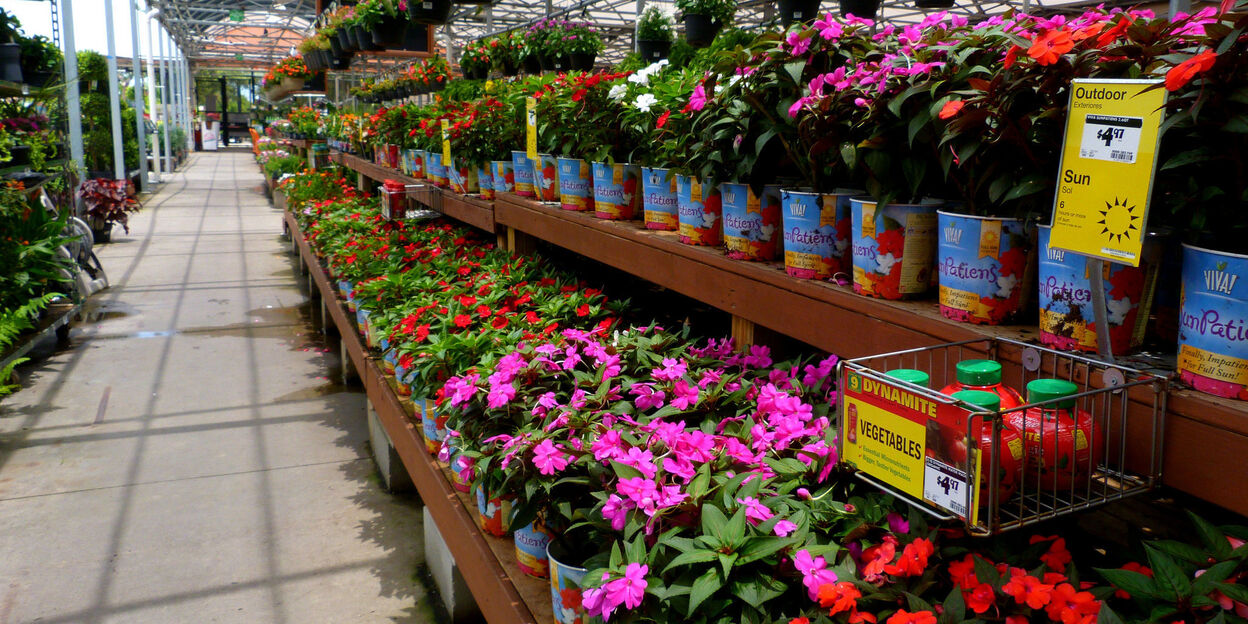 When Does Home Depot Discount Shrubs And Bushes