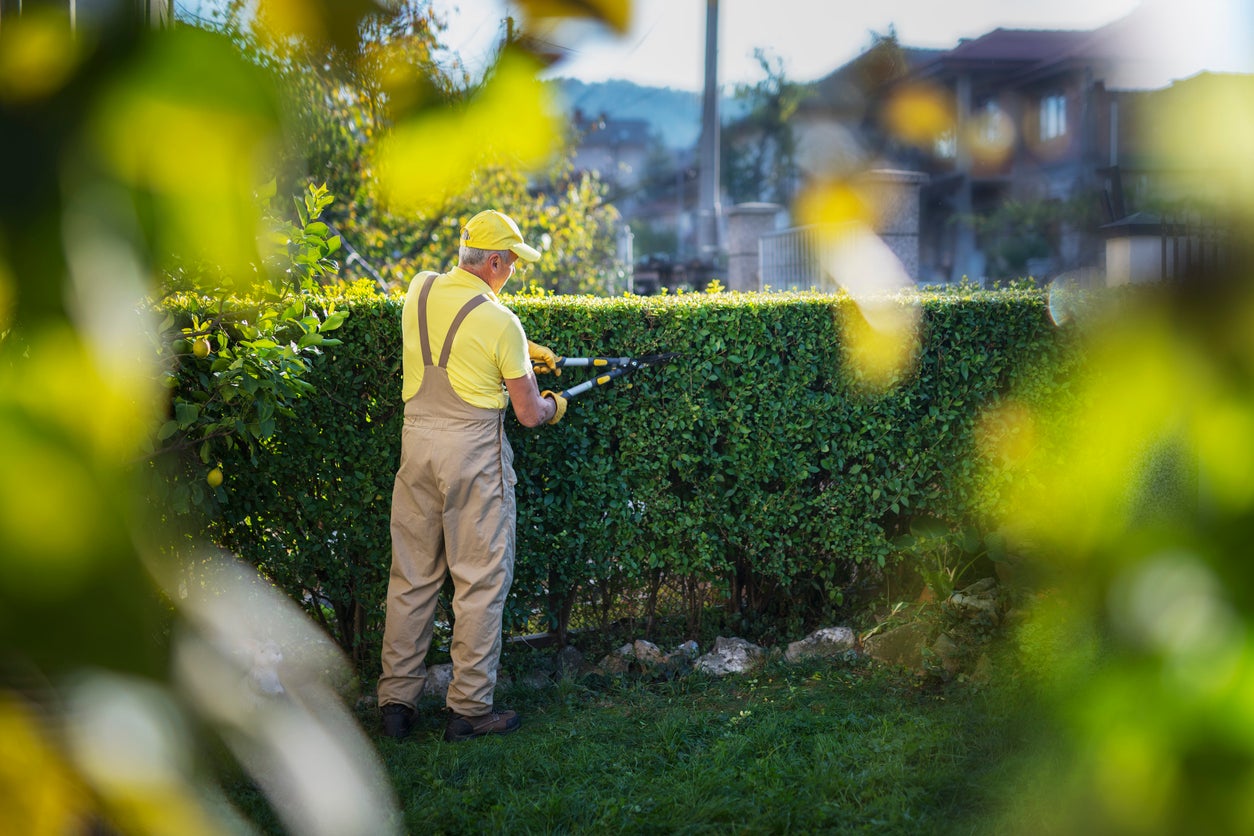 When Is The Best Time To Trim Shrubs