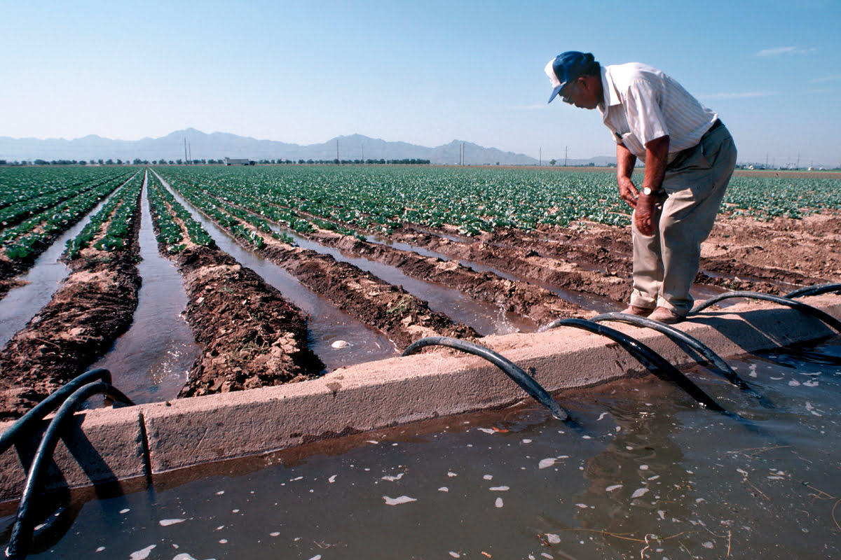 Where Does Most Of The Water Used For Irrigation Come From?