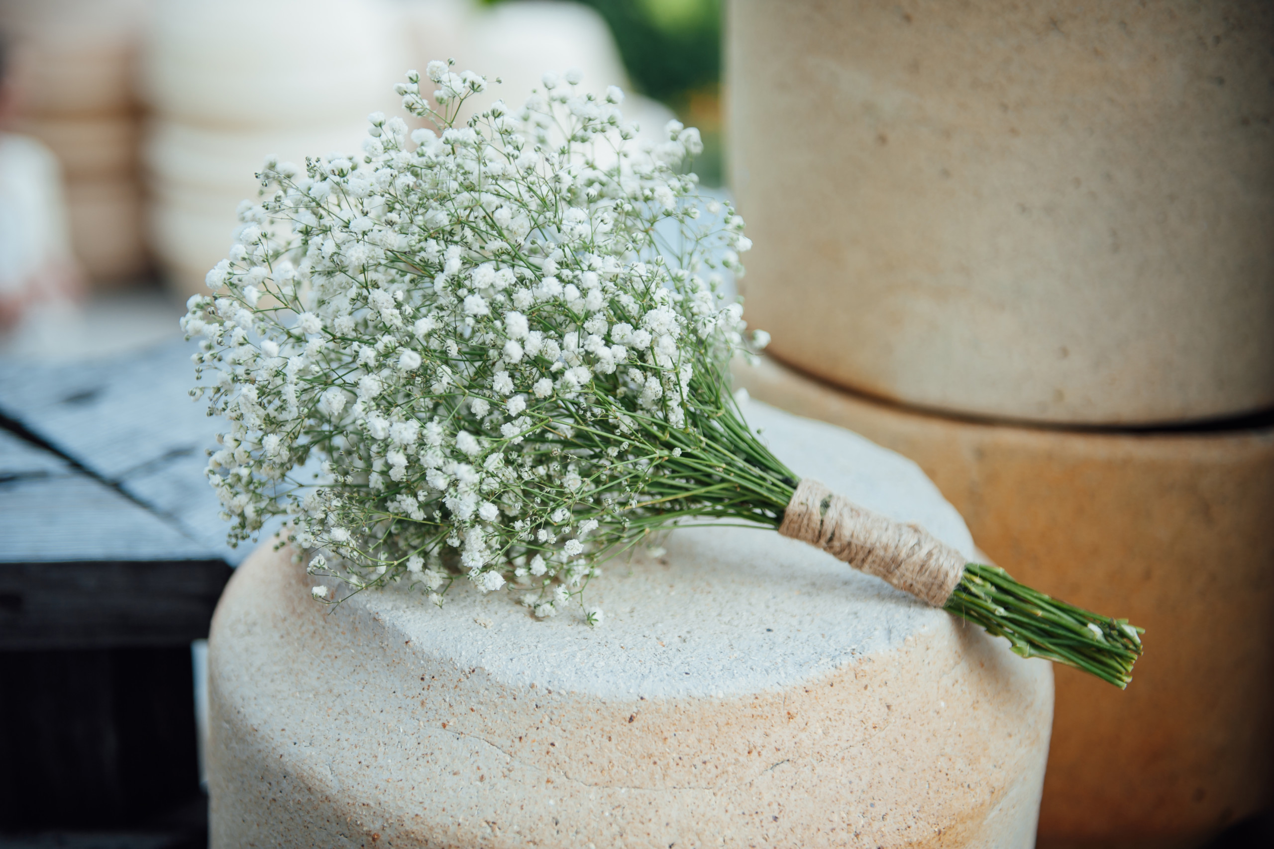Where To Buy Baby’s Breath Flowers