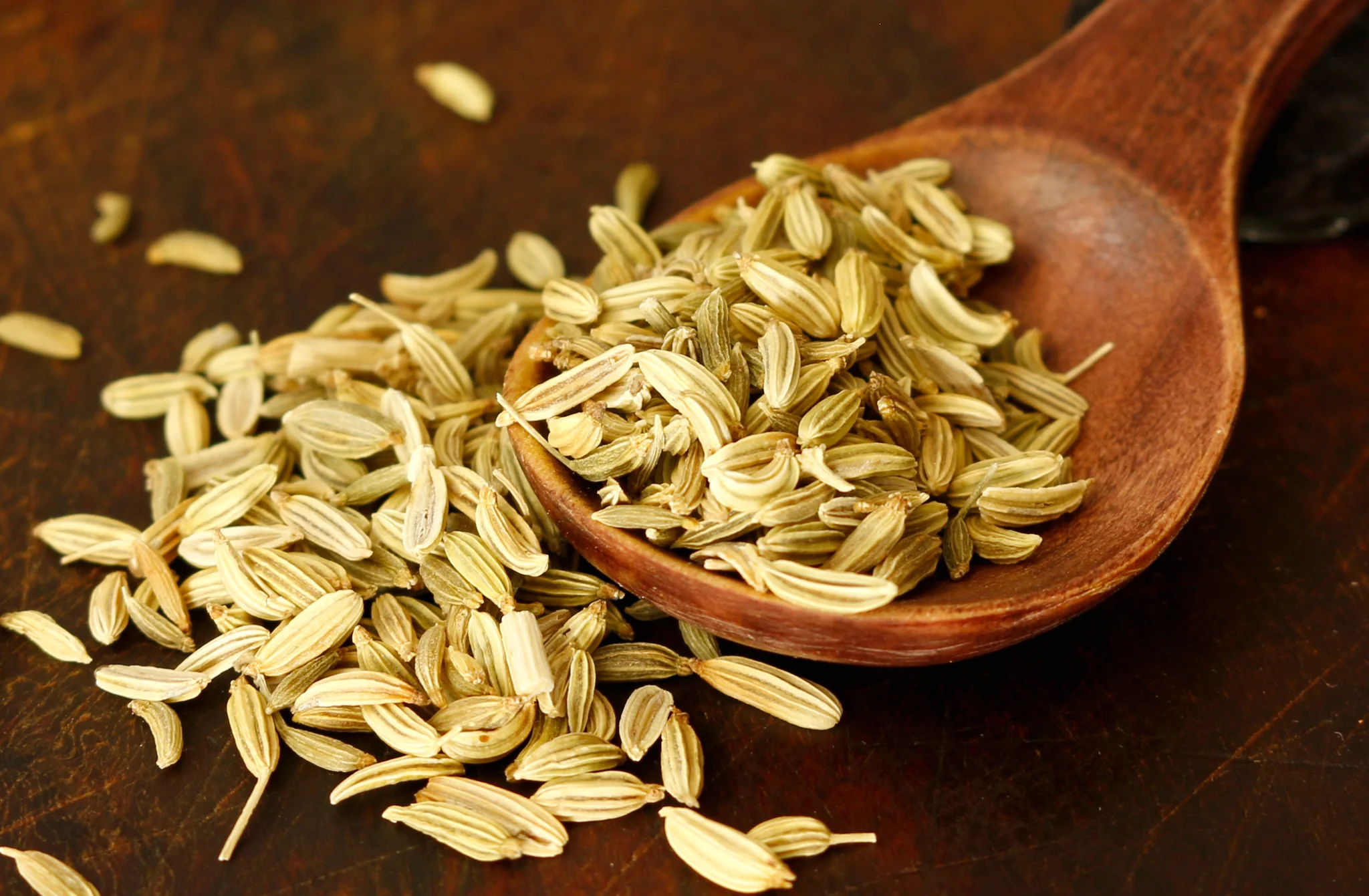 Where To Buy Fennel Seeds