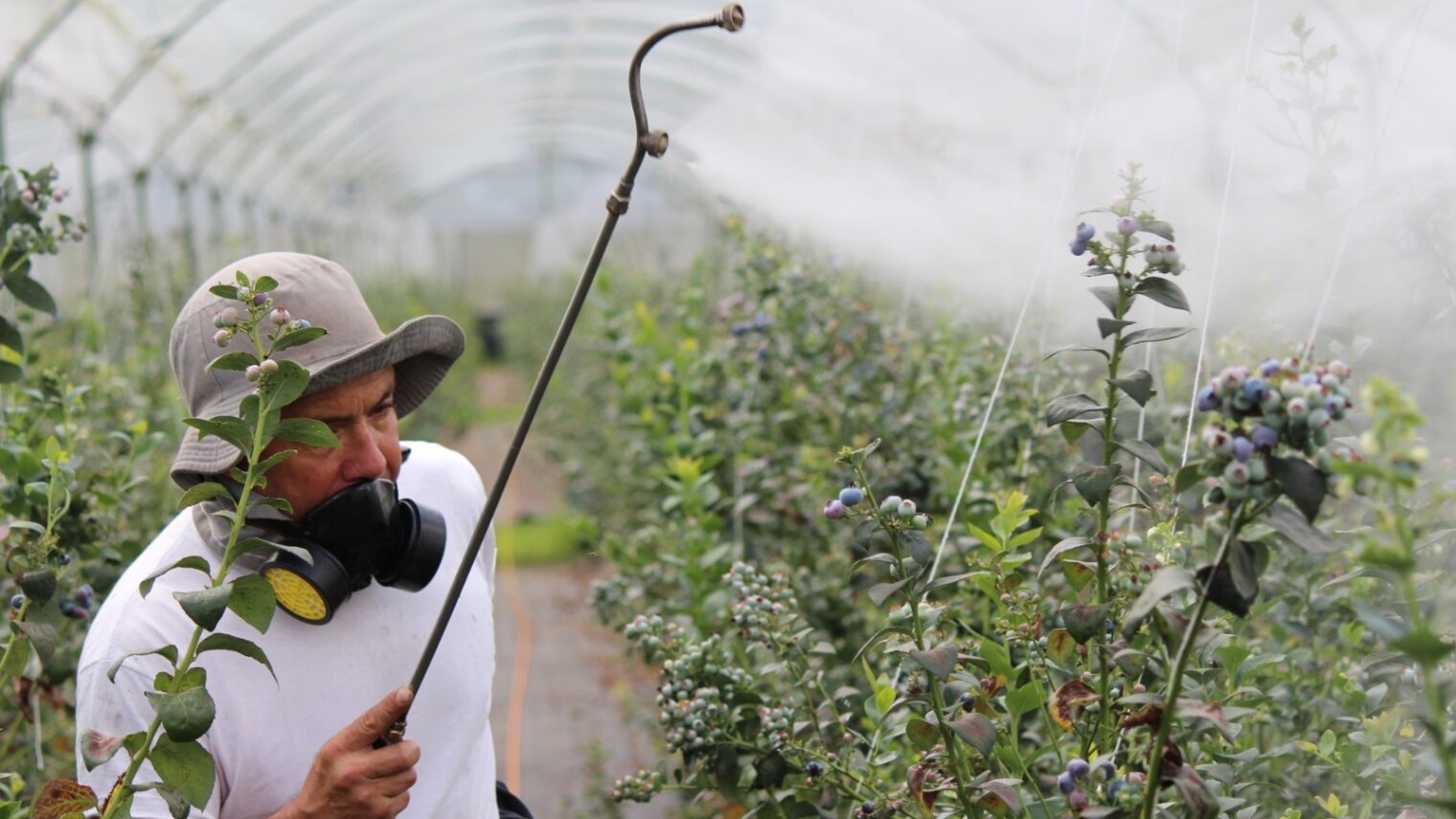 Why Are Pesticides Good For The Environment
