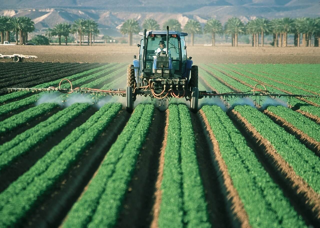 Why Does The Use Of Pesticides And Herbicides Become Necessary With Monocultures?