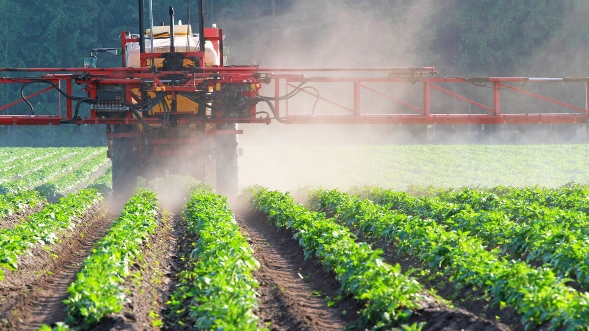 Why Pesticides Are Good