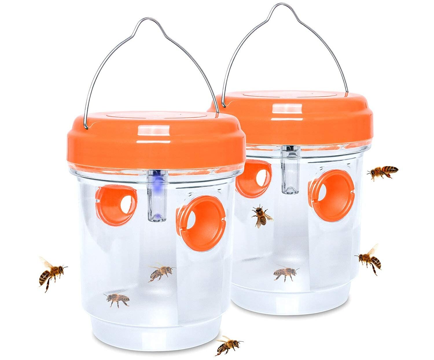 10 Unbelievable Insect Outdoor Traps For 2024