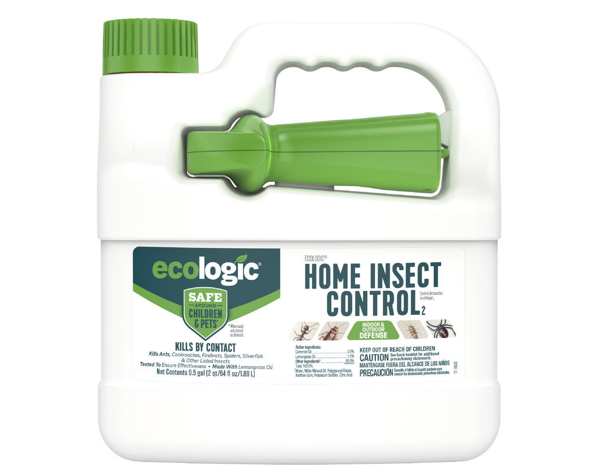 12 Incredible Home Insect Control For 2023