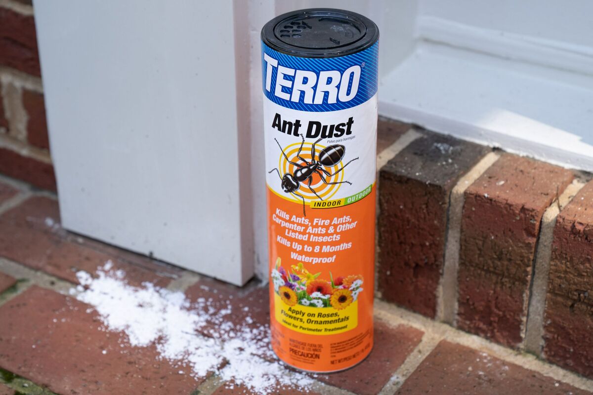 12 Superior Insect Dust For 2024