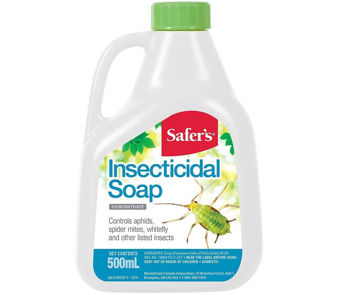 13 Superior Insecticidal Soaps For 2024