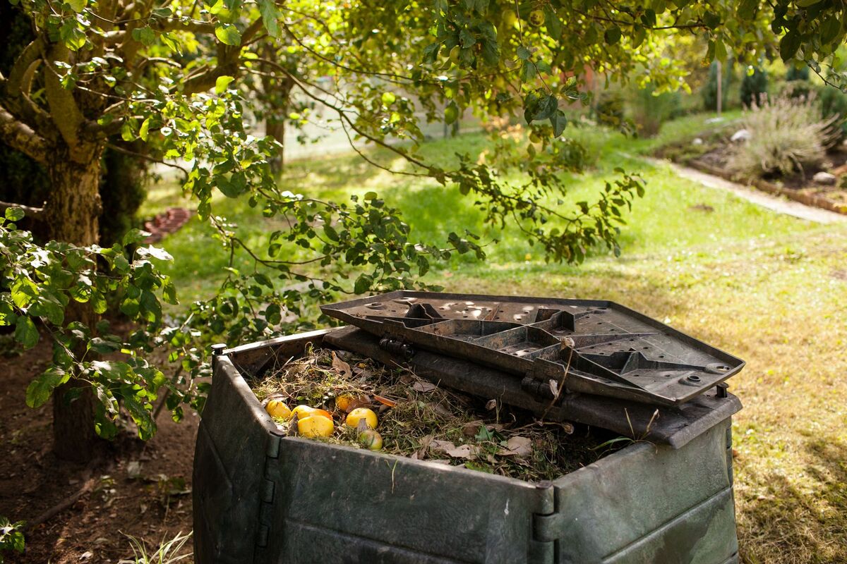 13 Unbelievable Backyard Composter for 2024
