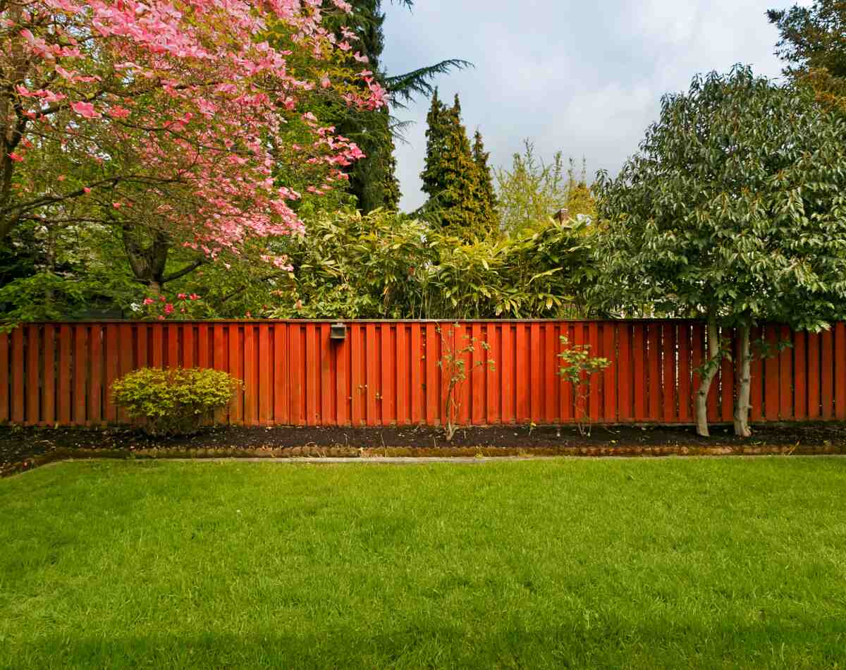 13 Unbelievable Backyard Fence for 2024