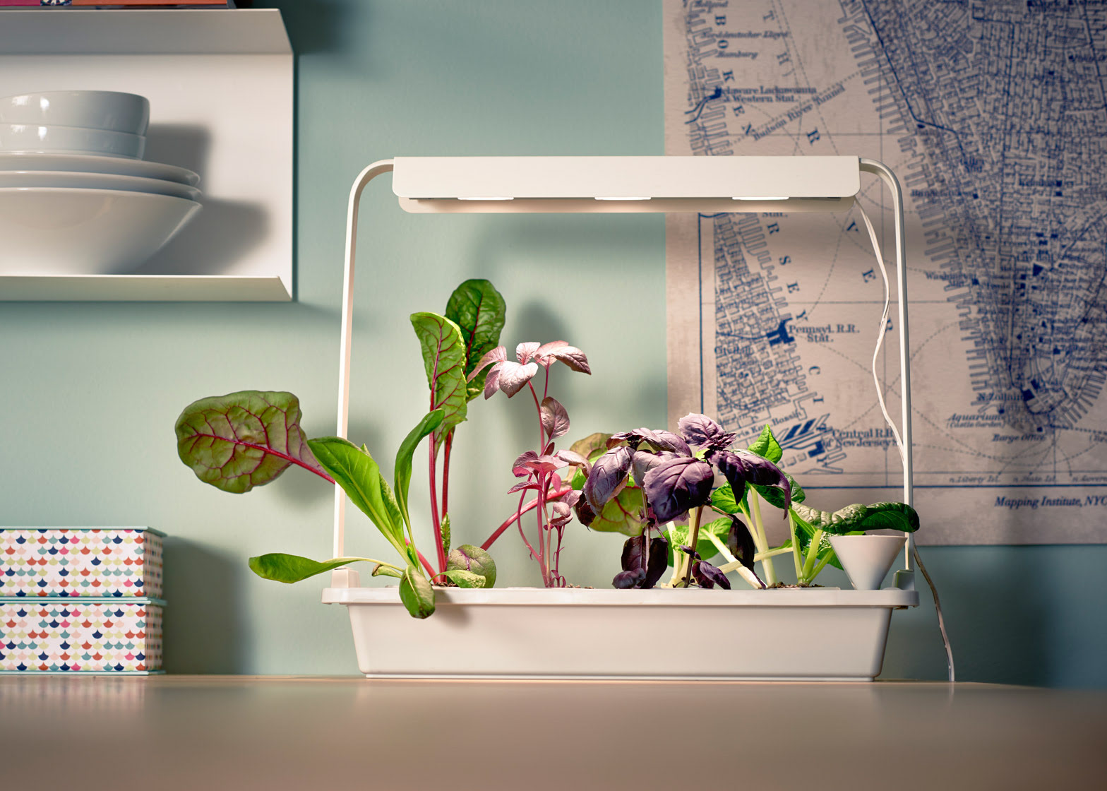 15 Best IKEA Hydroponics Systems For 2024