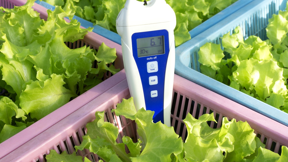 15 Superior Hydroponics Meters For 2024