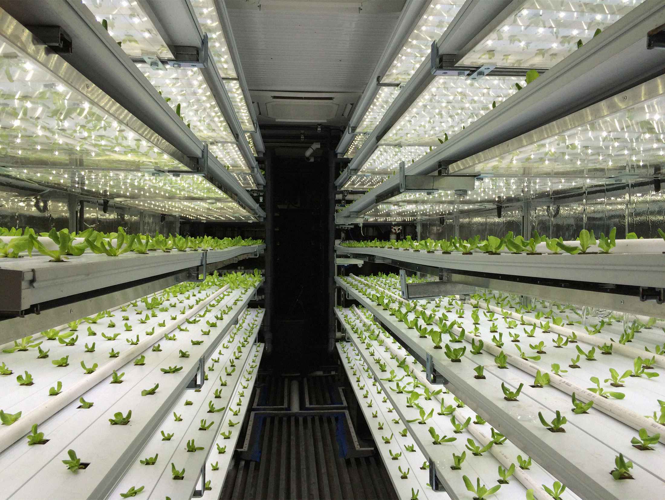 8 Superior Hydroponics Containers For 2024
