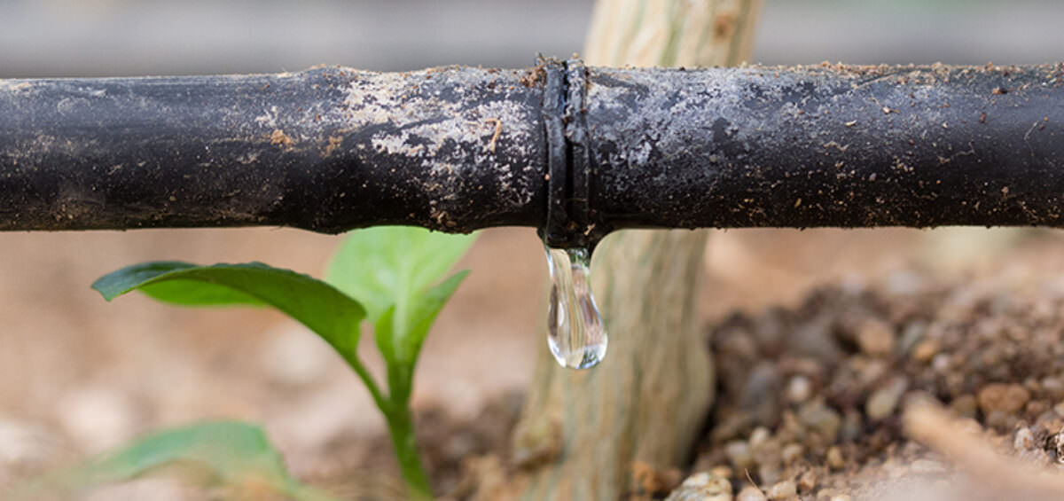 How Much Water Does Drip Irrigation Use