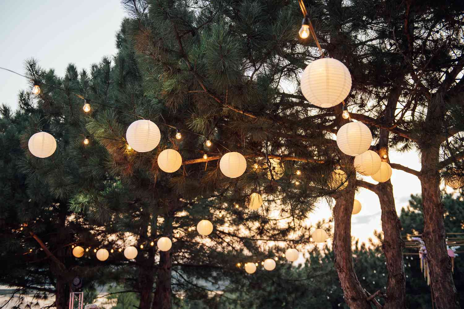 How To Hang Lights In Trees Outside