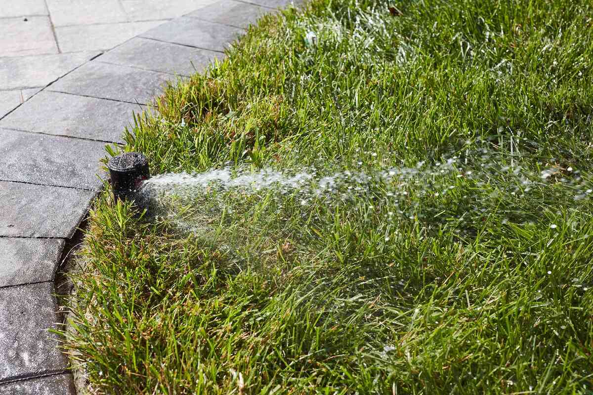 How To Locate Irrigation Valves