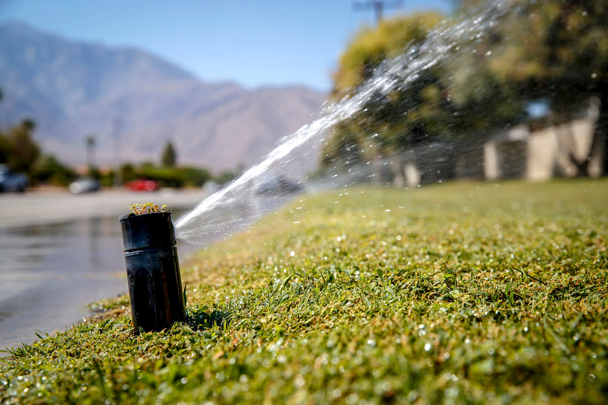 What State Loses The Most Water From Its System Through Consumption And Irrigation?
