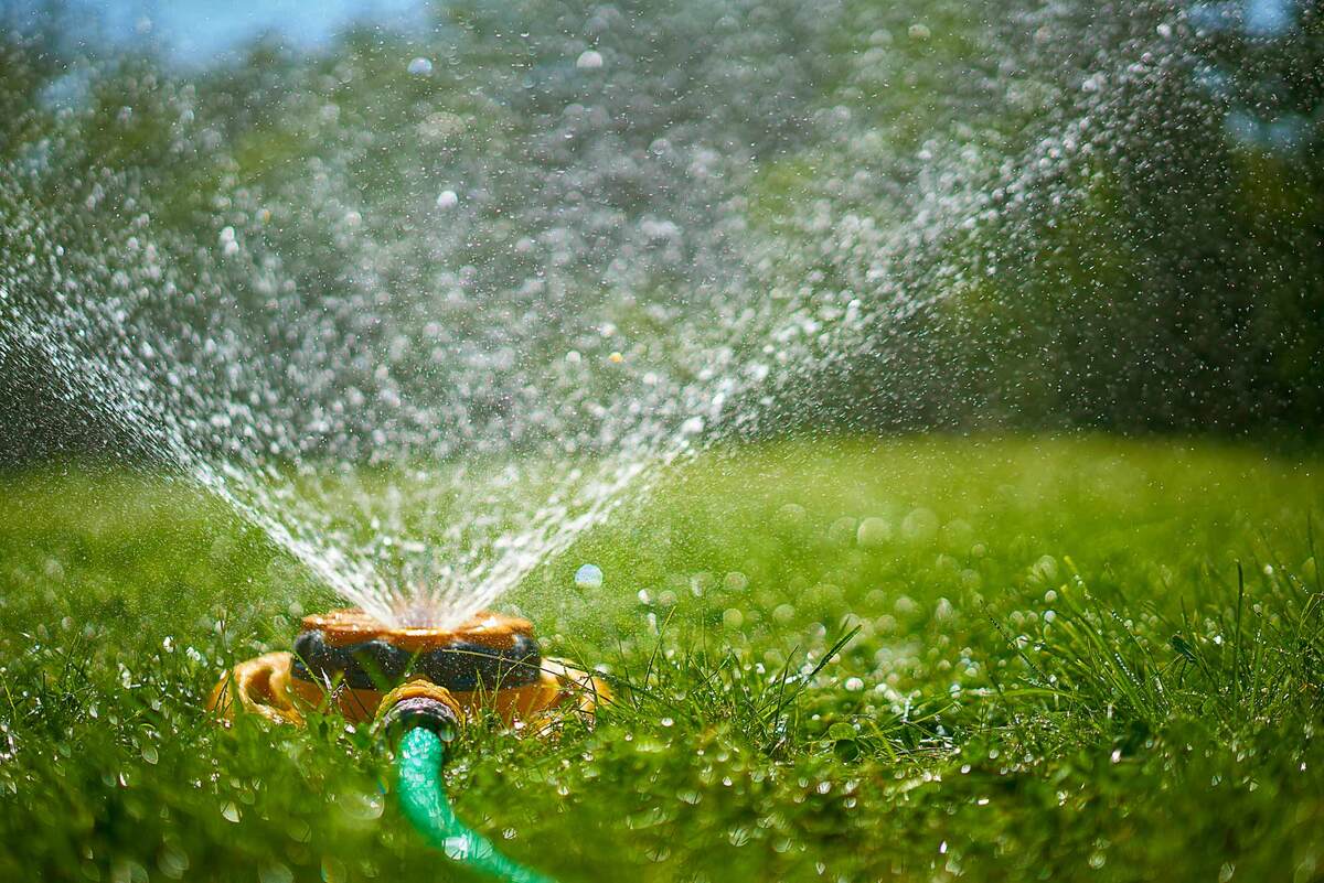When Should You Turn On Irrigation System