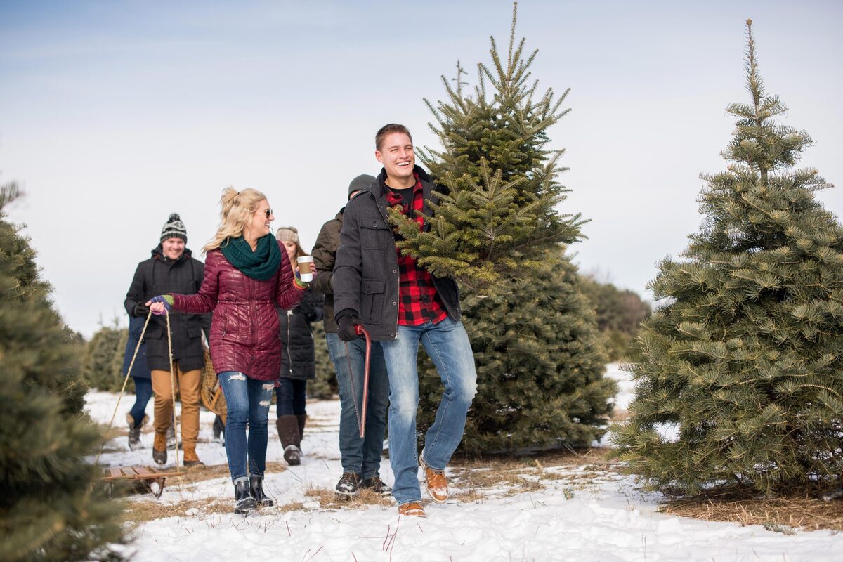 Where To Find Christmas Trees