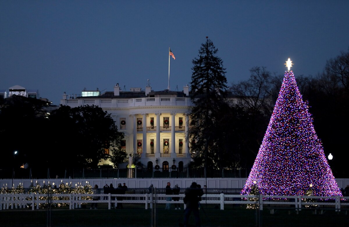 Which Us President Banned Christmas Trees In The White House