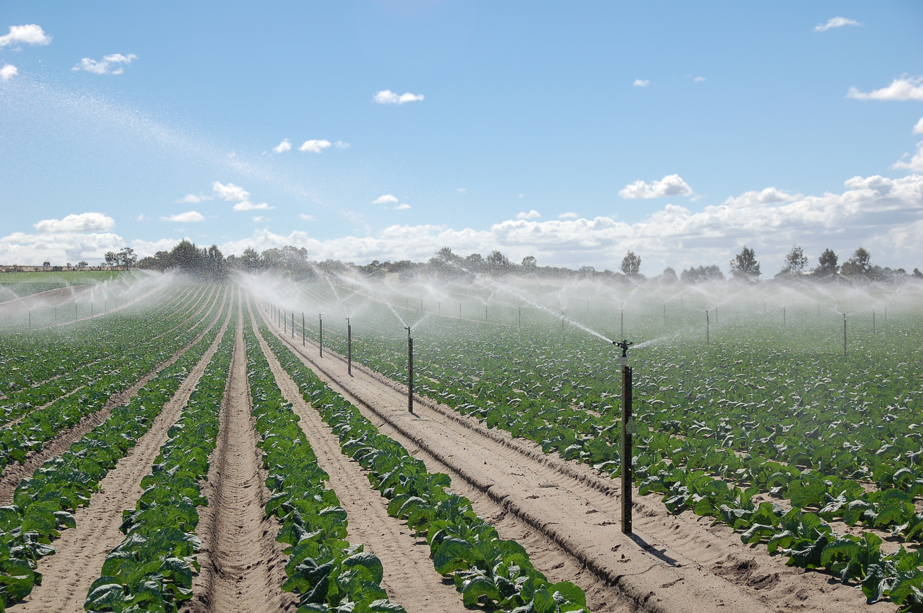 Why Does Water From Irrigation Increase Salt Concentration In Soil Which Can Damage Crops