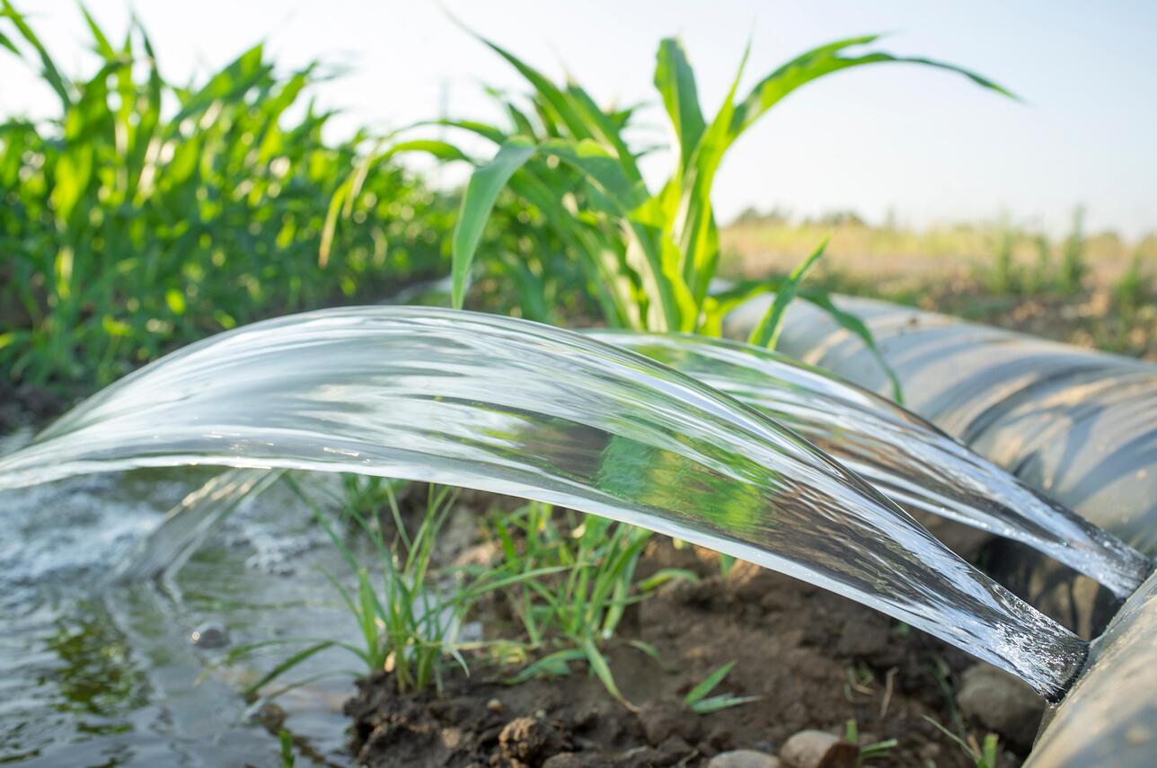 Why Might A Farmer Need To Use An Irrigation System?