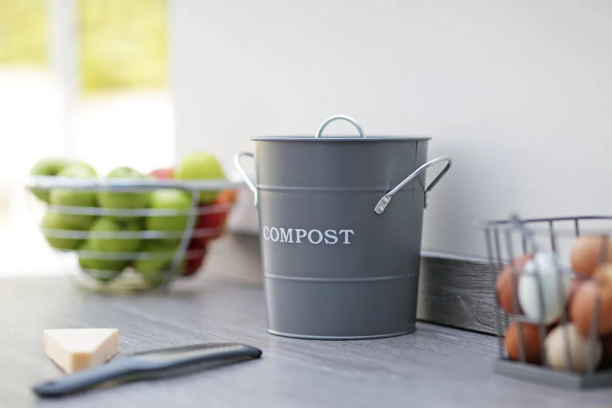 10 Amazing Compost Caddy for 2024