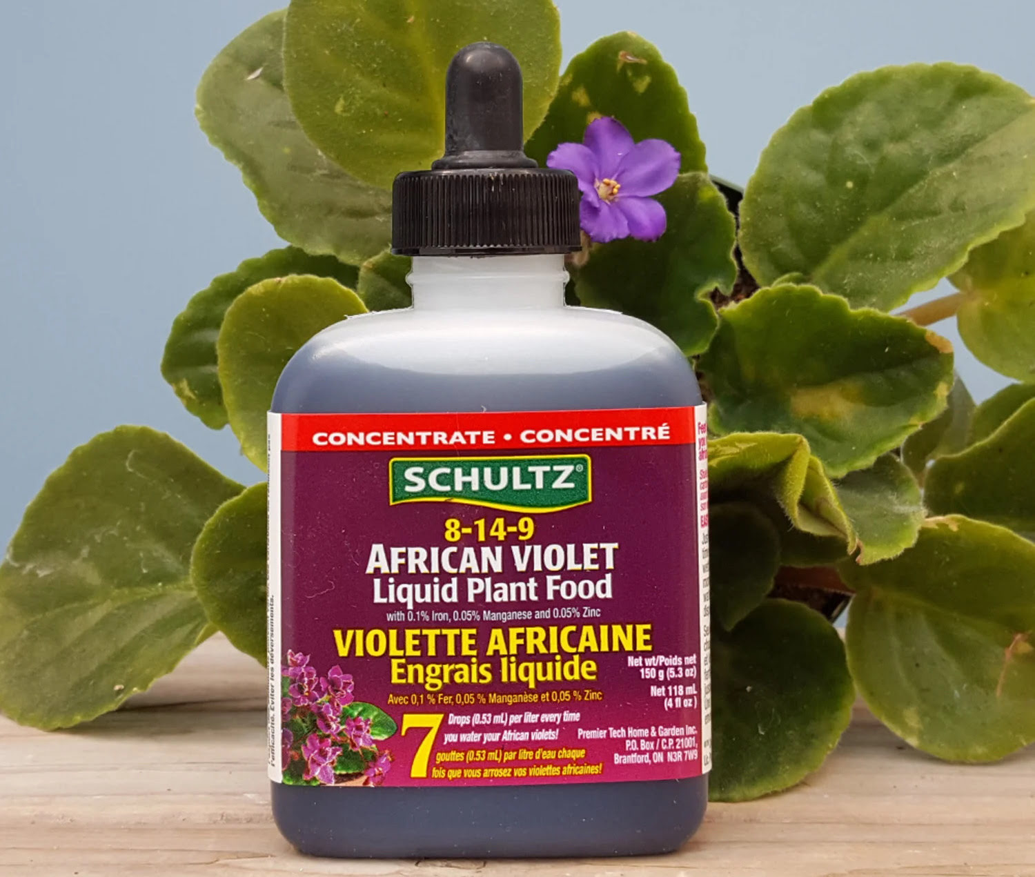10 Best African Violet Fertilizer for 2024