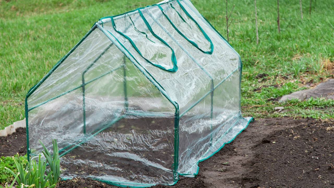 10 Best Portable Greenhouse Kit for 2024