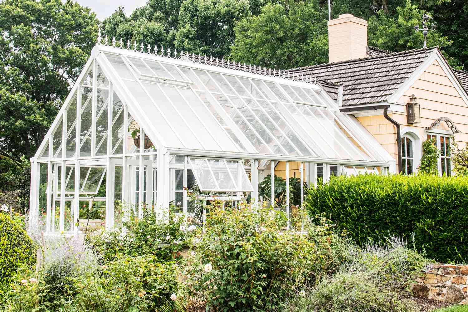 10 Best White Greenhouse for 2024