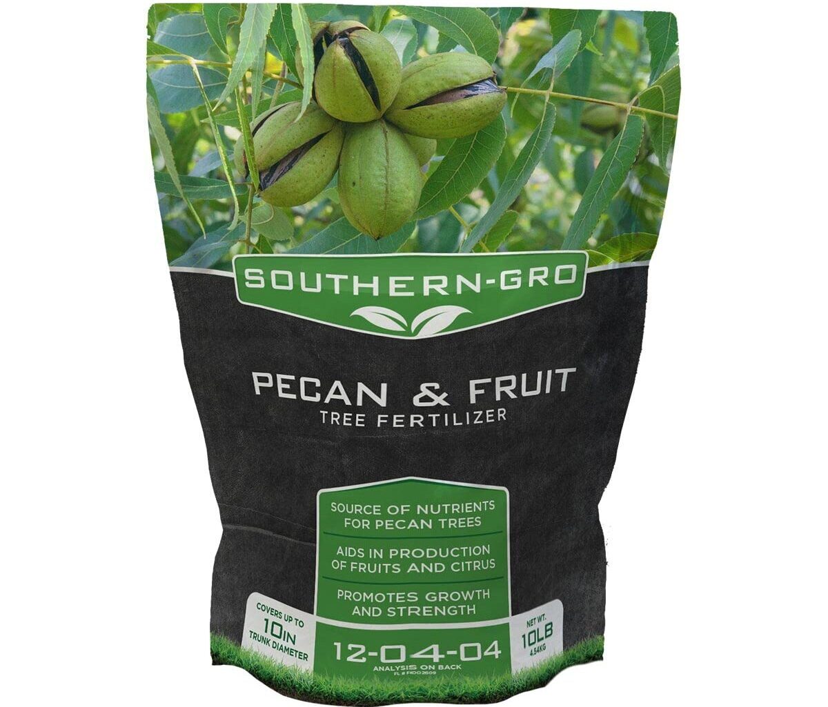 10 Superior Pecan Tree Fertilizer for 2024