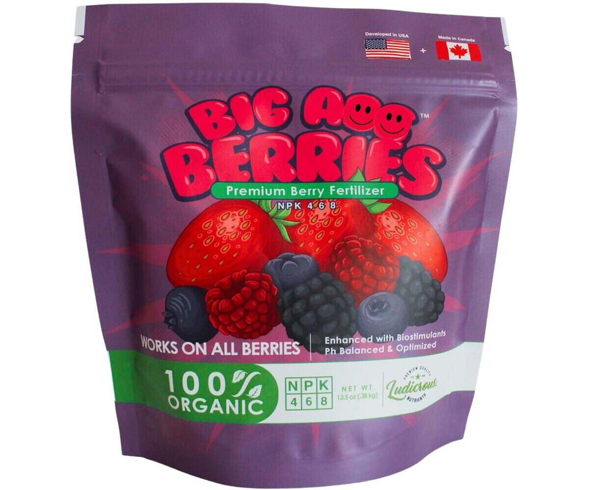10 Unbelievable Berry Fertilizer for 2024