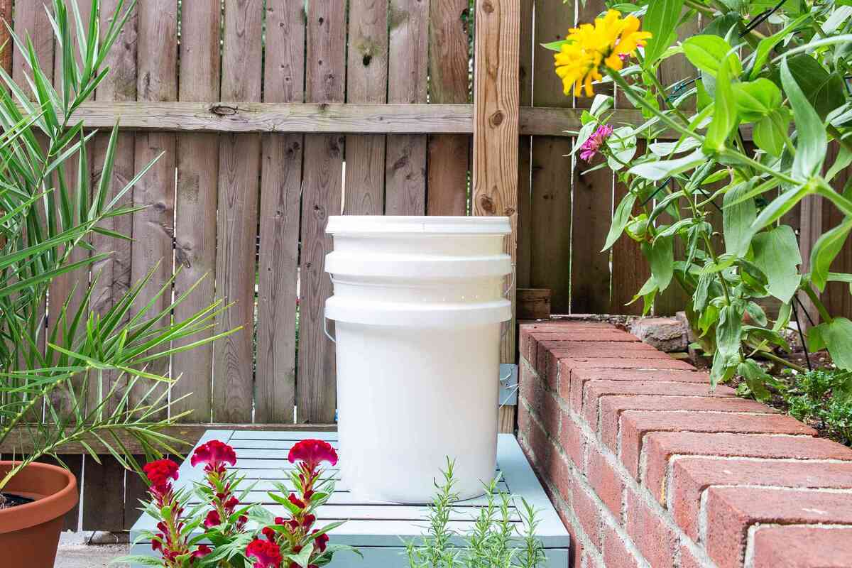 10 Unbelievable Compost Bucket for 2024