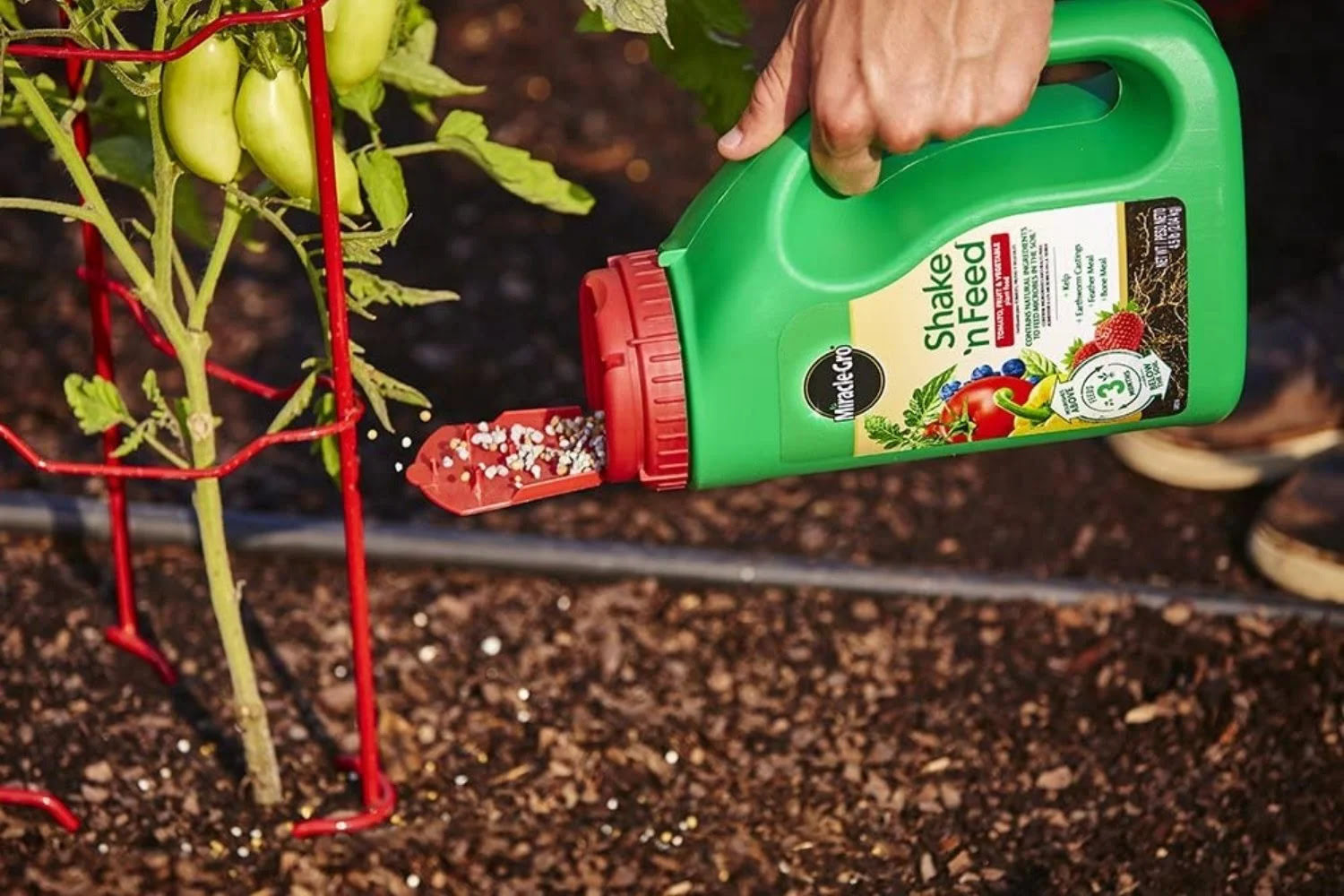 10 Unbelievable Pepper Fertilizer for 2024