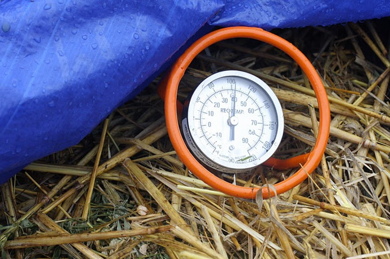 11 Amazing Compost Thermometers for 2024