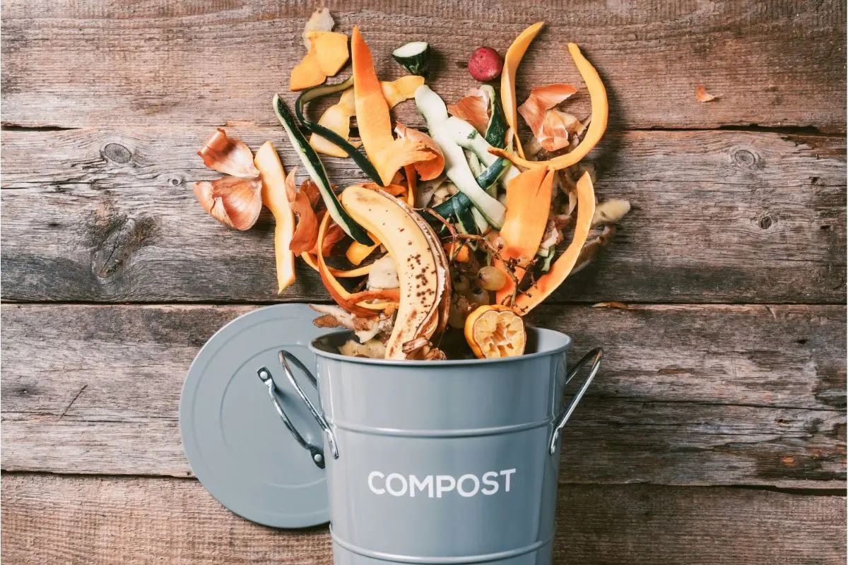 11 Amazing Kitchen Compost for 2024